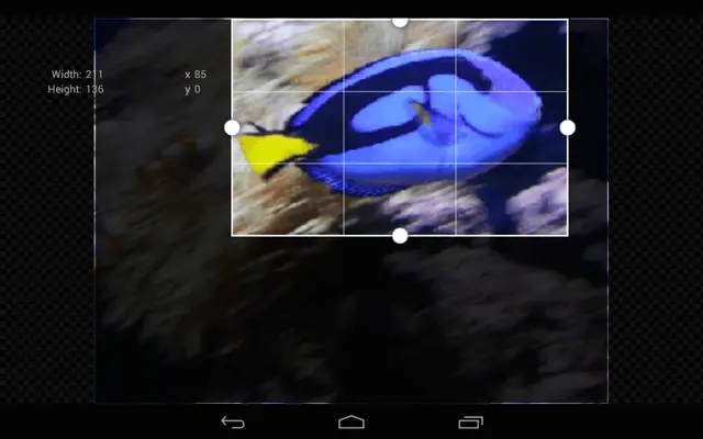 GIF Studio android App screenshot 3